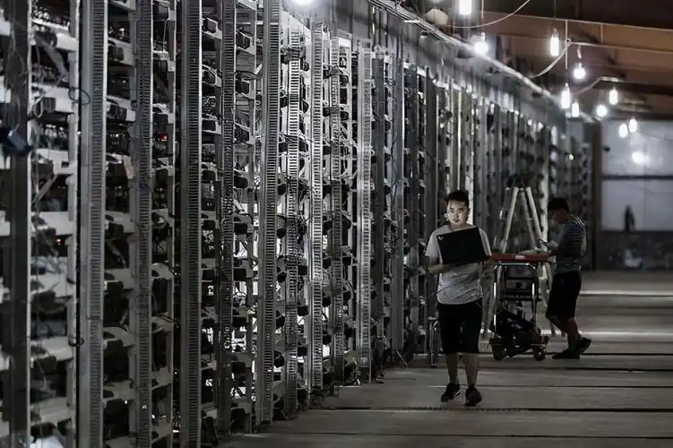 A rack of powerful ASIC miners humming away, the future of cryptocurrency mining on display