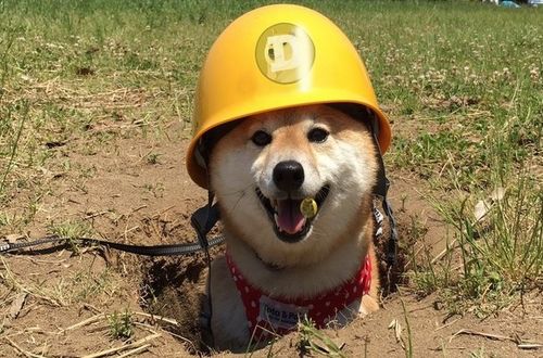 Dogecoin mining setup